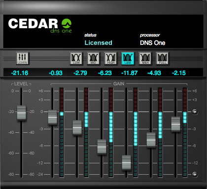 CEDAR Studio DNS One