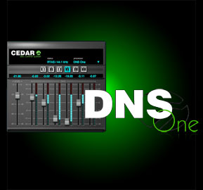 DNS3000 dialogue noise suppressor